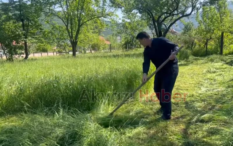 Vali Kaldırım ile Başkan Soykan tırpanla ot biçti