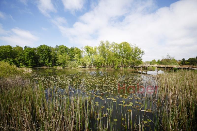 Saklı cennet turistlerin ilgi odağı oldu