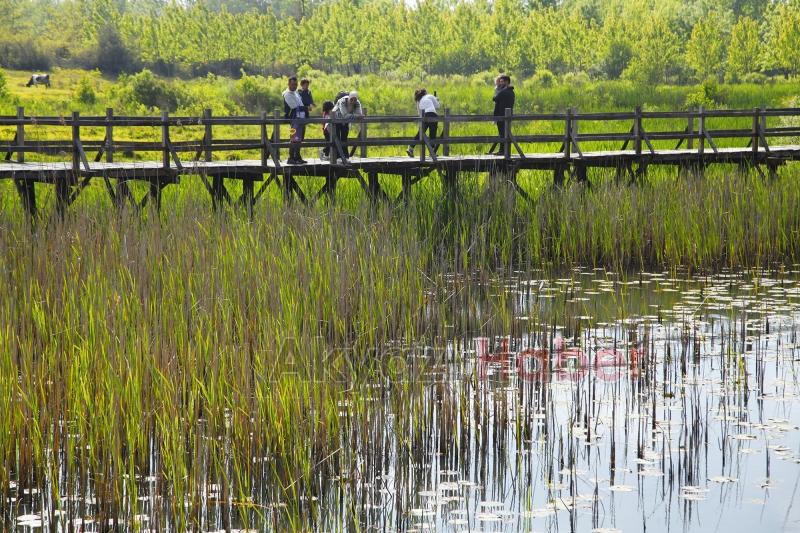 Saklı cennet turistlerin ilgi odağı oldu