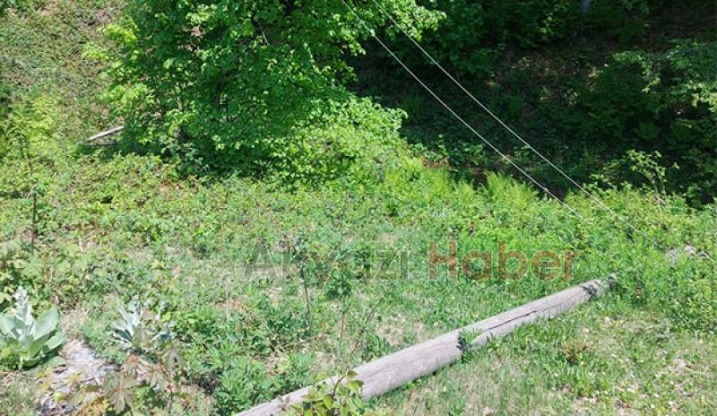 Keremali'de kopan elektrik telleri tehlike saçıyor