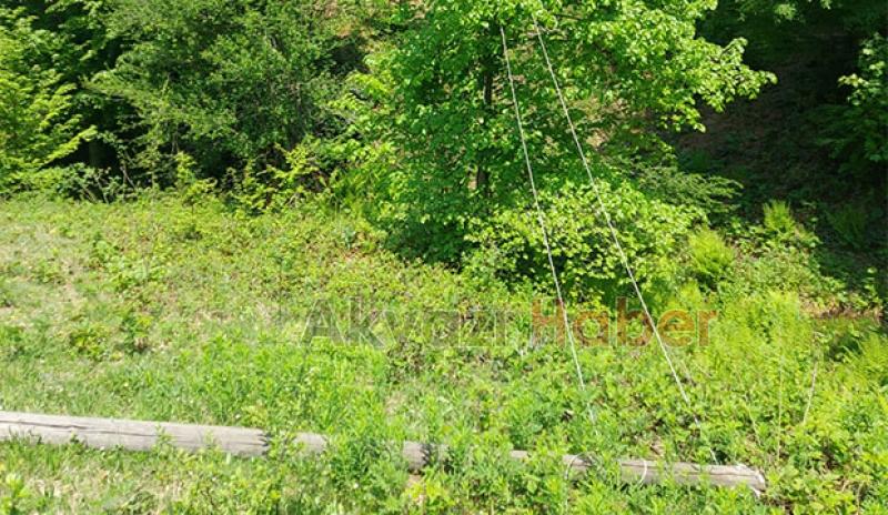 Keremali'de kopan elektrik telleri tehlike saçıyor