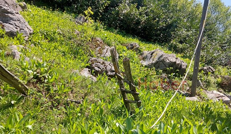 Keremali'de kopan elektrik telleri tehlike saçıyor