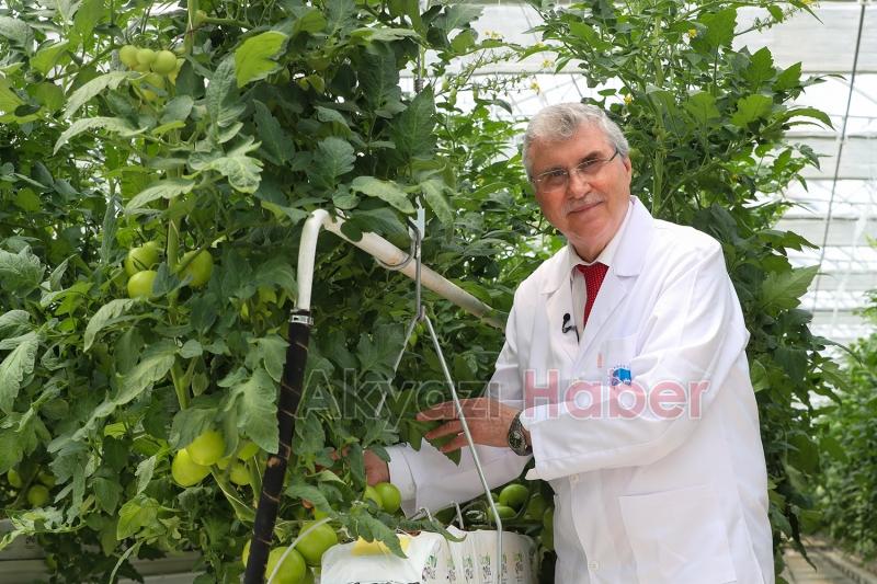 Seracılık Mükemmeliyet Merkezi’nde ilk hasat heyecanı