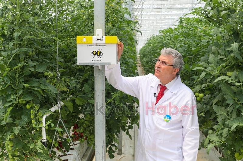 Seracılık Mükemmeliyet Merkezi’nde ilk hasat heyecanı