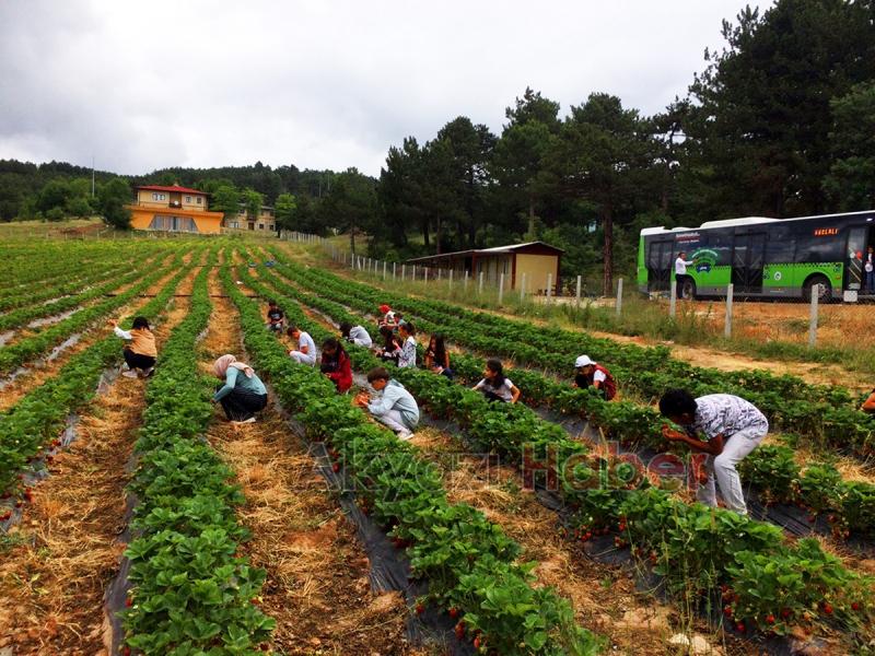 Büyükşehir’in tarım projeleri ile öğrencilere toprak bilinci aşılanıyor