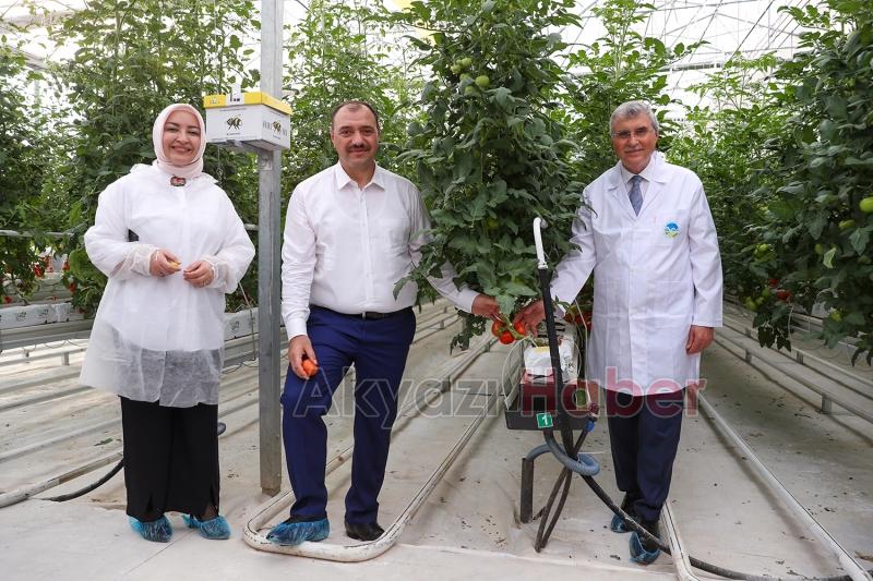 Türkiye’de kendi alanında bir ilk, Akyazı'da açıldı