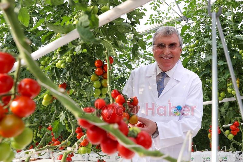 Türkiye’de kendi alanında bir ilk, Akyazı'da açıldı