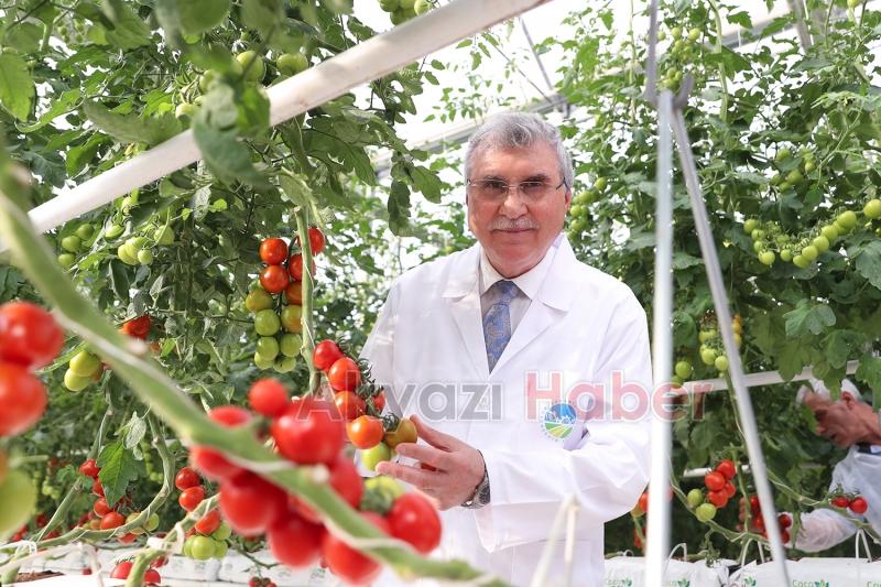 Türkiye’de kendi alanında bir ilk, Akyazı'da açıldı