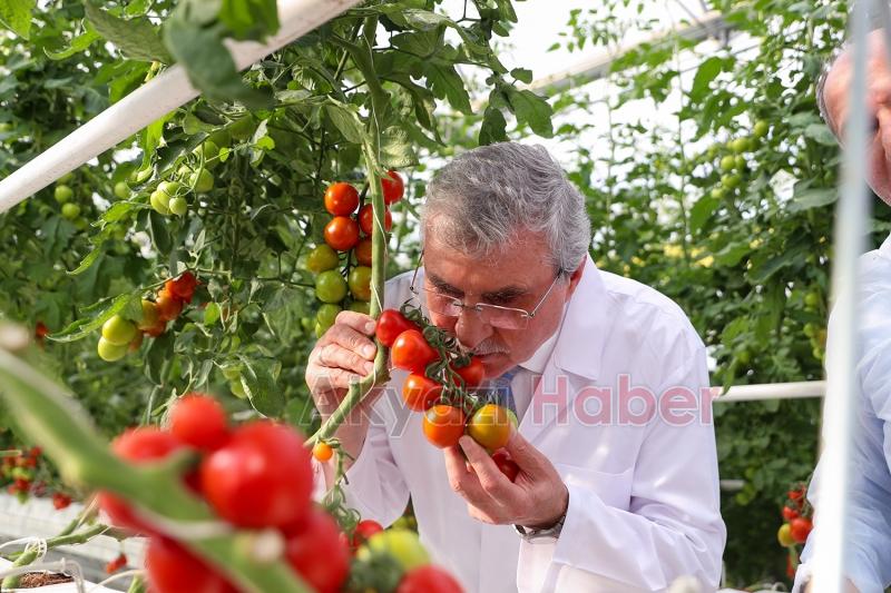 Türkiye’de kendi alanında bir ilk, Akyazı'da açıldı