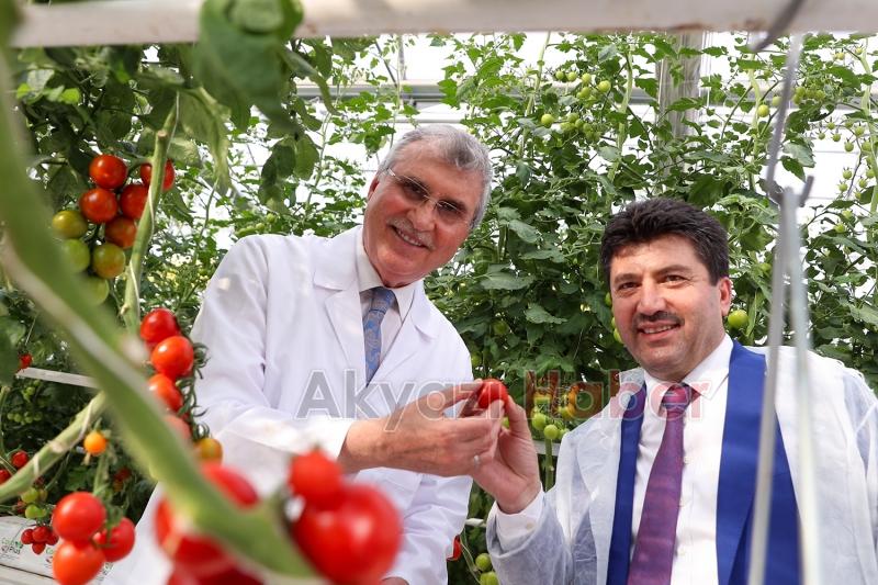 Türkiye’de kendi alanında bir ilk, Akyazı'da açıldı