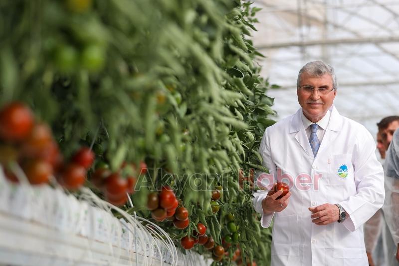 Türkiye’de kendi alanında bir ilk, Akyazı'da açıldı