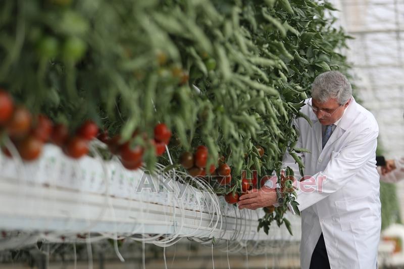 Türkiye’de kendi alanında bir ilk, Akyazı'da açıldı