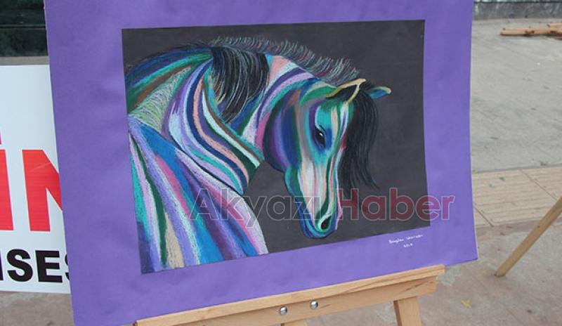 Özel Akyazı Bilgin Anadolu Lisesi öğrencilerinden resim sergisi