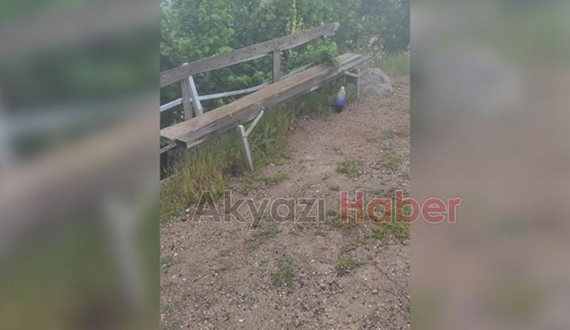 Keremali Şehitliği harabeye döndü