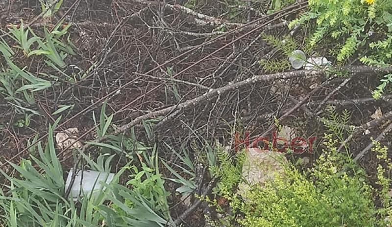 Keremali Şehitliği harabeye döndü