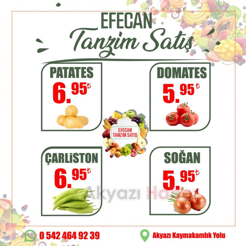 Efecan Tanzim Satış'a Yaz Geldi