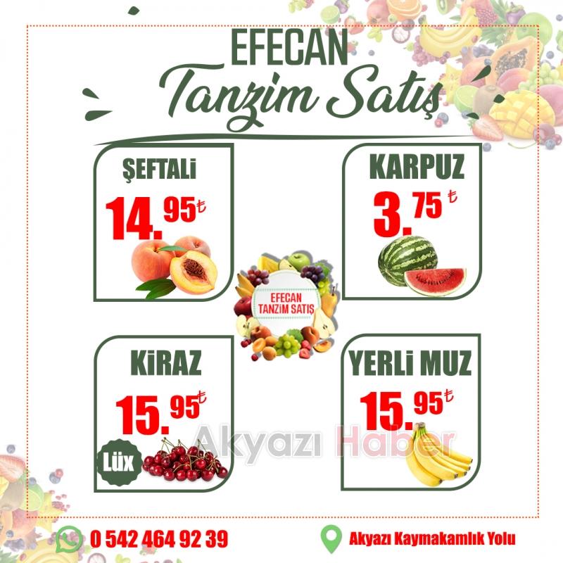 Efecan Tanzim Satış'a Yaz Geldi