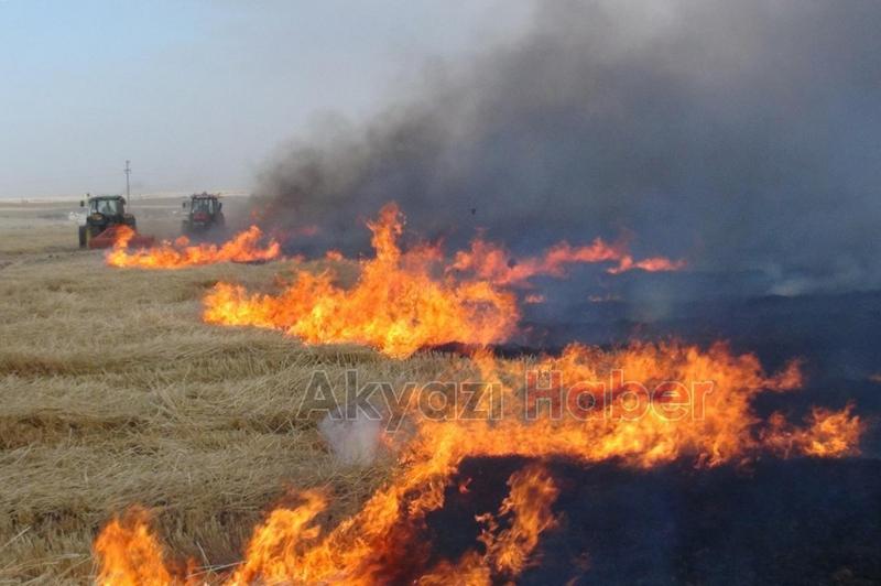 Büyükşehir orman yangınlarına karşı uyarıyor