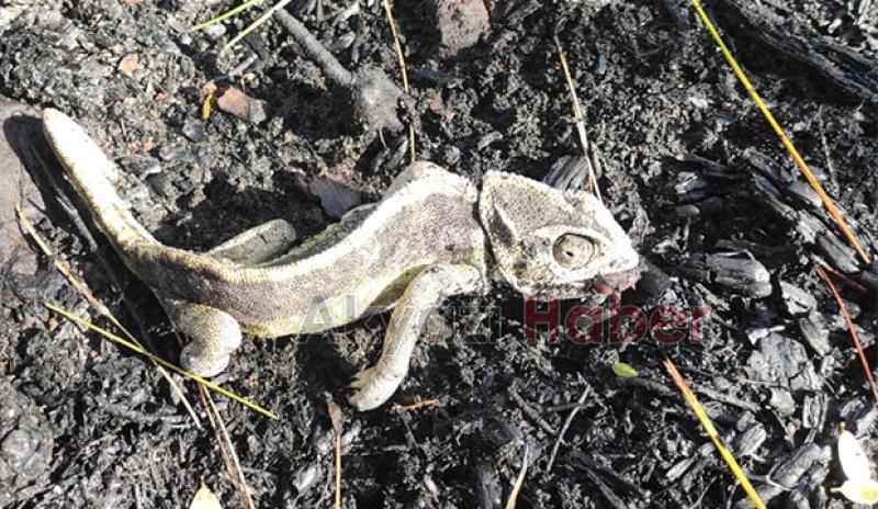 Akyazı ekibi Marmaris'te desteği sürdürüyor