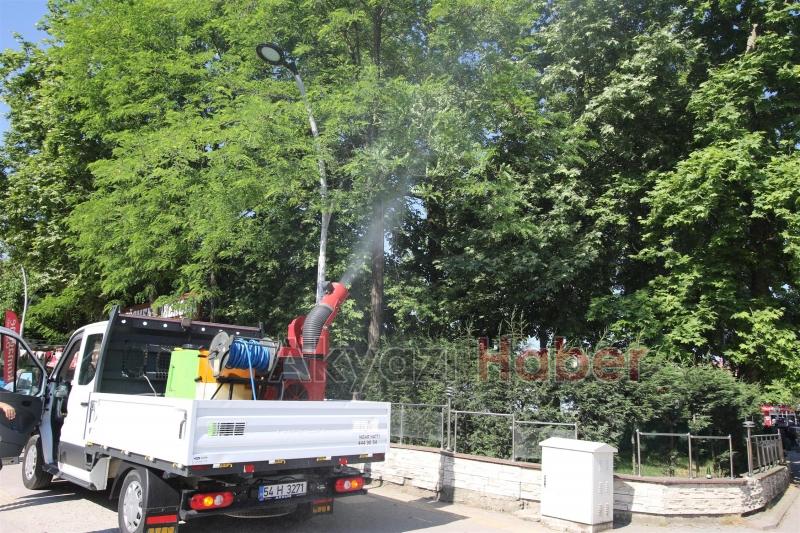 Akyazı'da tırtıl ile mücadele başladı