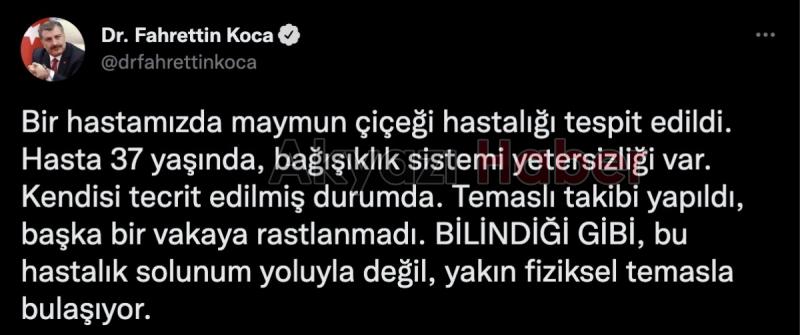 Türkiye'de ilk maymun çiçeği vakası tespit edildi