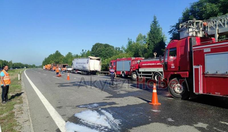 TEM'de feci kaza yanan tırda can verdi