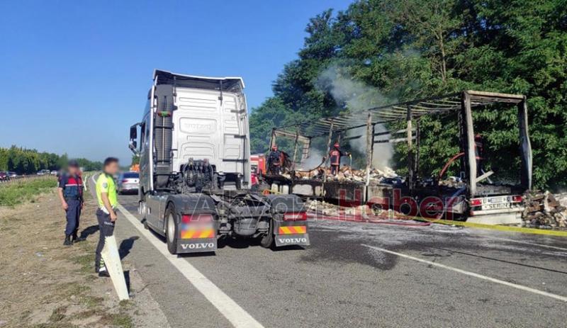 TEM'de feci kaza yanan tırda can verdi