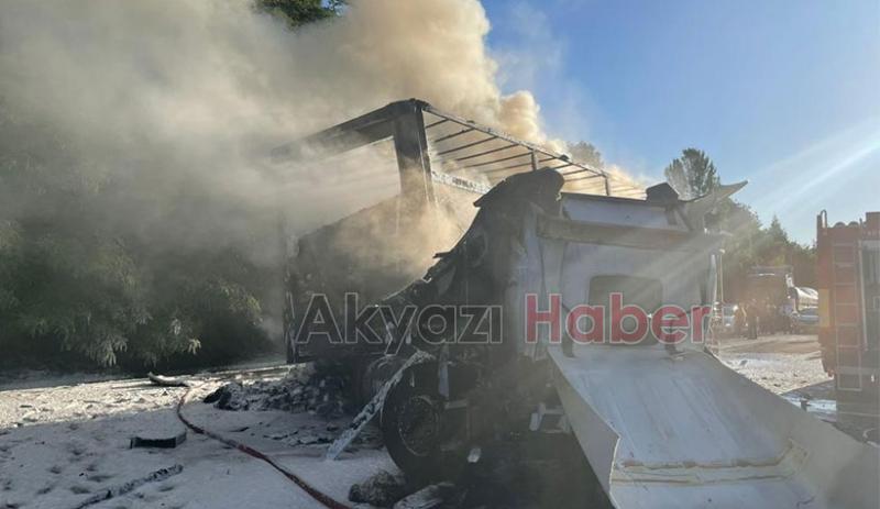 TEM'de feci kaza yanan tırda can verdi