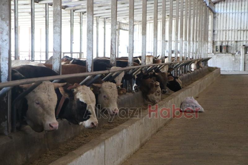 Akyazı’da kurban kesim yerleri denetlendi