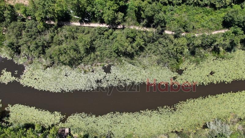 Acarlar Longozu yenilenen yüzüyle kapılarını açıyor