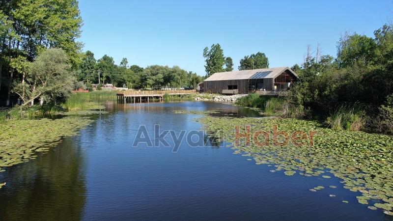 Acarlar Longozu yenilenen yüzüyle kapılarını açıyor