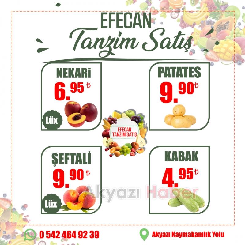 Ferah Bir Yaz için, Efecan Tanzim !