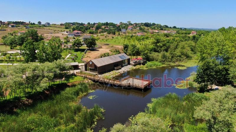 Acarlar longoz yeni yüzüyle açıldı