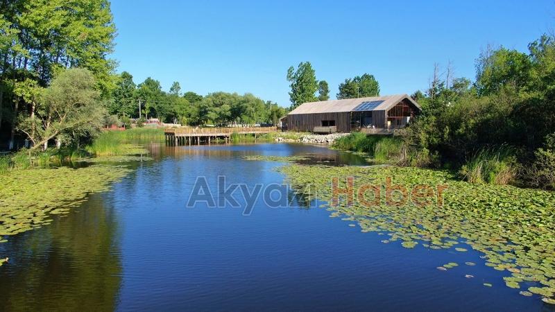 Acarlar longoz yeni yüzüyle açıldı