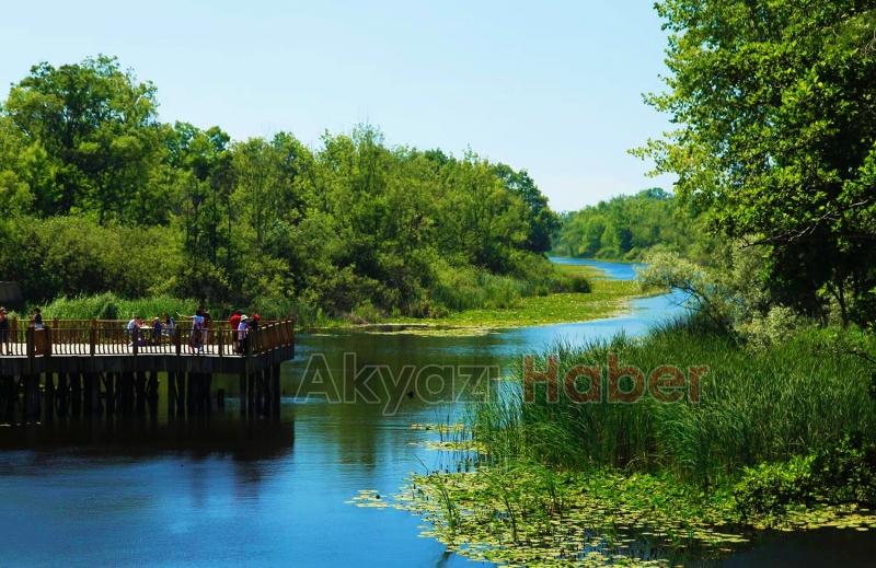 Acarlar longoz yeni yüzüyle açıldı