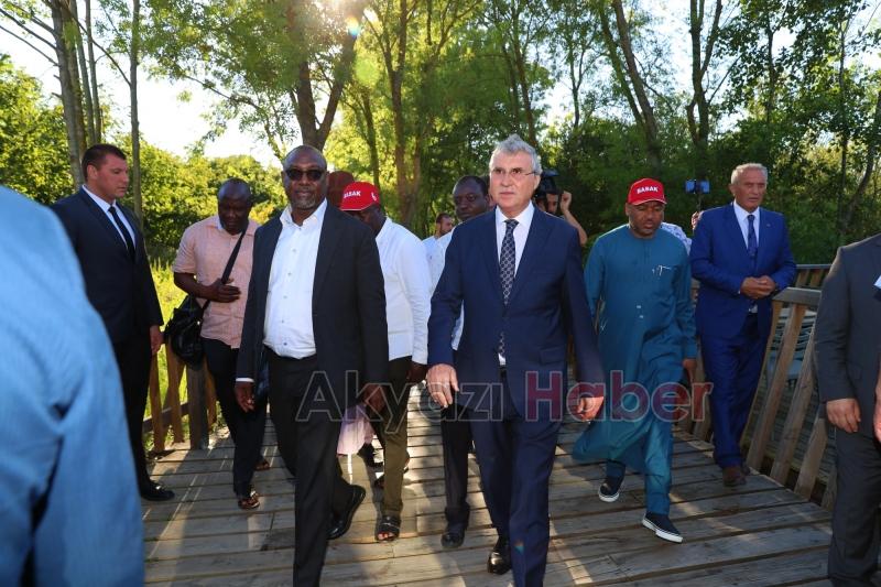 Acarlar longoz yeni yüzüyle açıldı