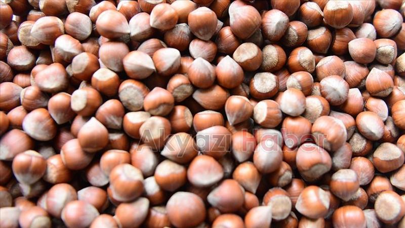 TMO, fındık alım fiyatlarının detayını açıkladı