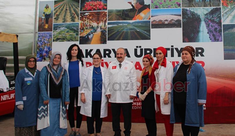  Bakan Varank Akyazı'da domates hasadı yaptı