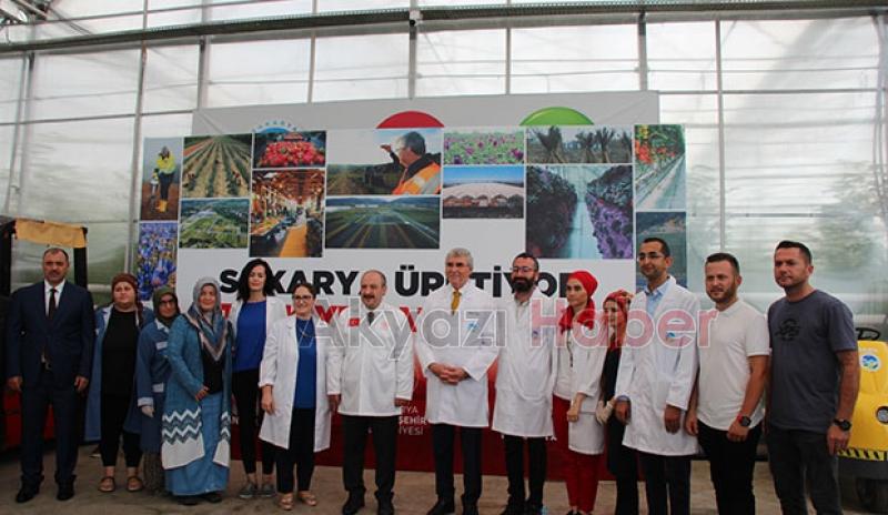  Bakan Varank Akyazı'da domates hasadı yaptı