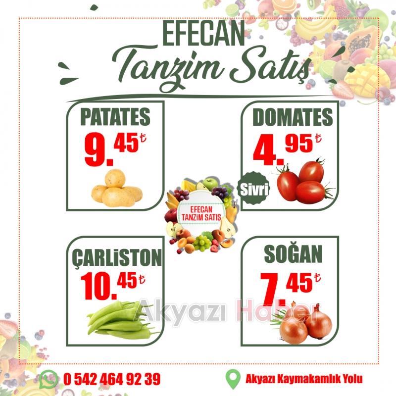 Efecan Tanzim satış'ta kendiniz seçin