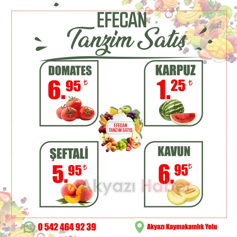Efecan Tanzim satış'ta kendiniz seçin