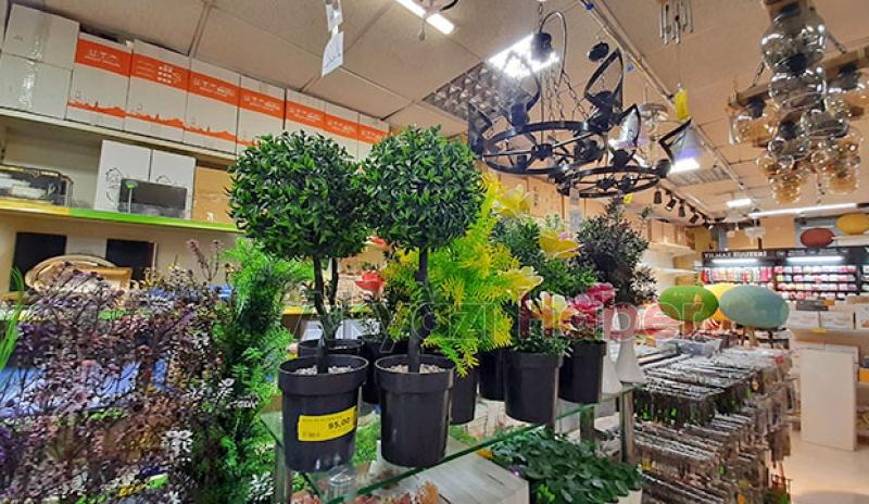 Aradığnız Her Şey Çarşı Pazar'da !