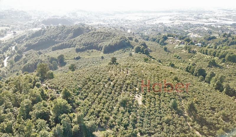 Mevlana Emlak'tan Yatırımlık Arsa