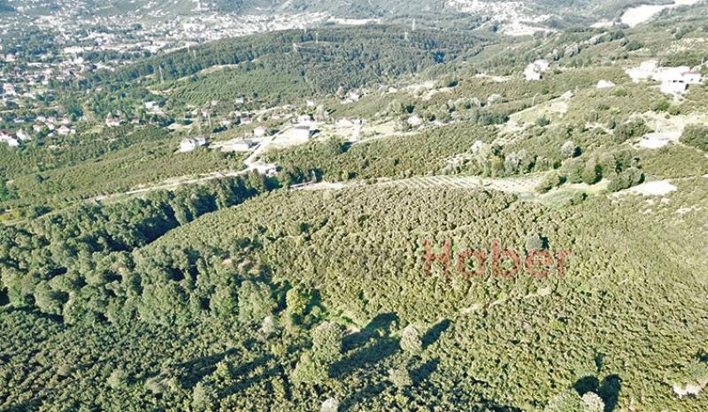 Mevlana Emlak'tan Yatırımlık Arsa