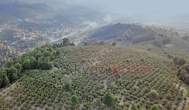 Mevlana Emlak'tan Yatırımlık Arsa