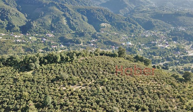 Mevlana Emlak'tan Yatırımlık Arsa