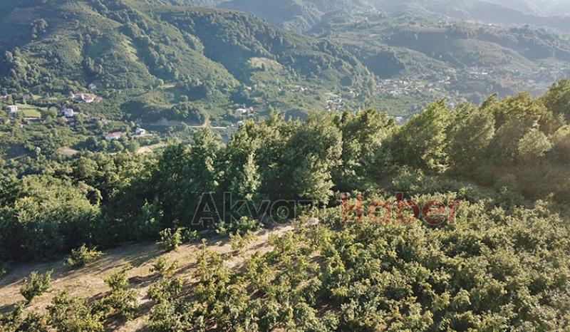 Mevlana Emlak'tan Yatırımlık Arsa