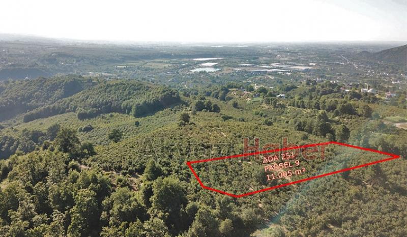 Mevlana Emlak'tan Yatırımlık Arsa