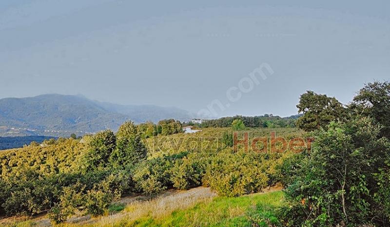 Mevlana Emlak'tan Yatırımlık Arsa