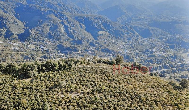 Mevlana Emlak'tan Yatırımlık Arsa